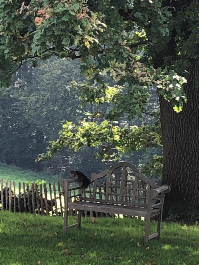 Gartenblick Leichlingen Esterno foto