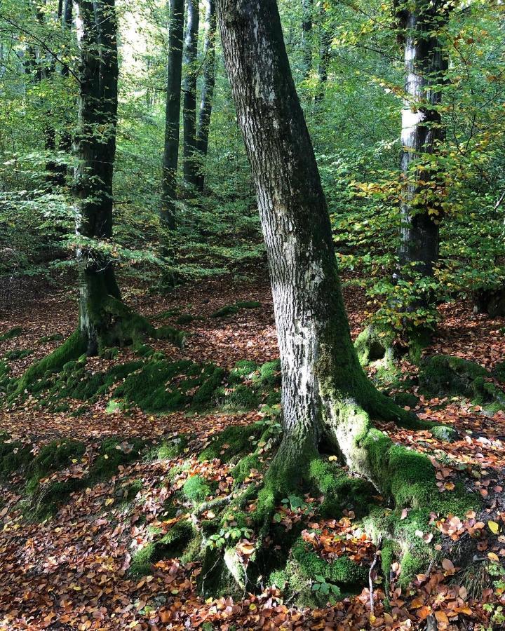 Gartenblick Leichlingen Esterno foto