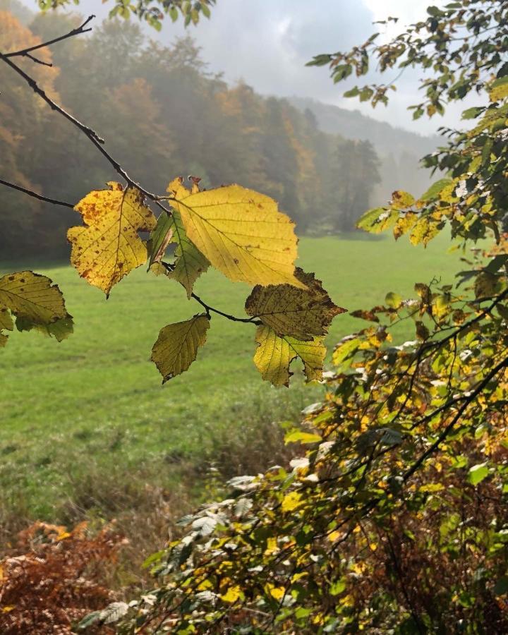 Gartenblick Leichlingen Esterno foto