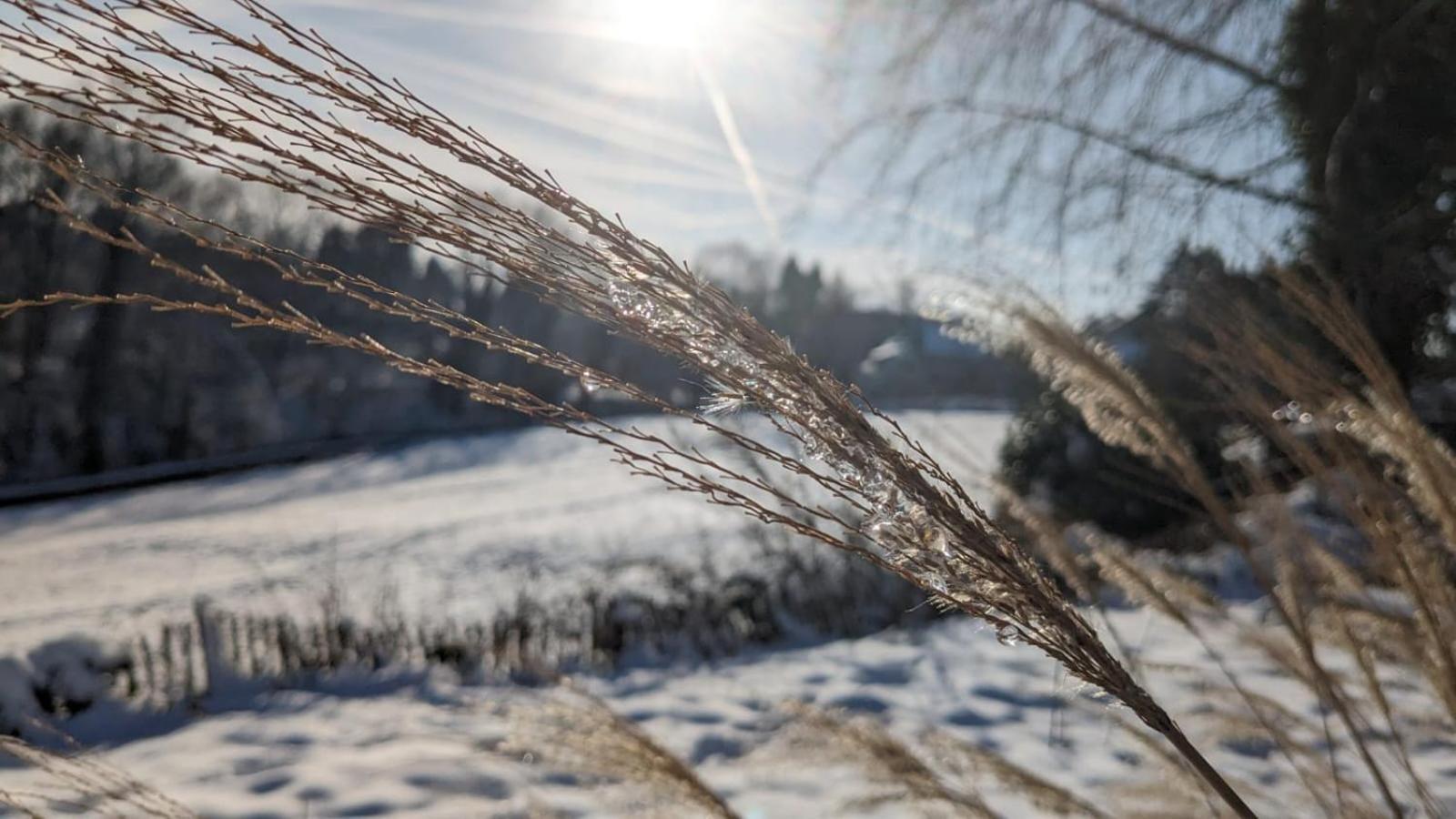 Gartenblick Leichlingen Esterno foto