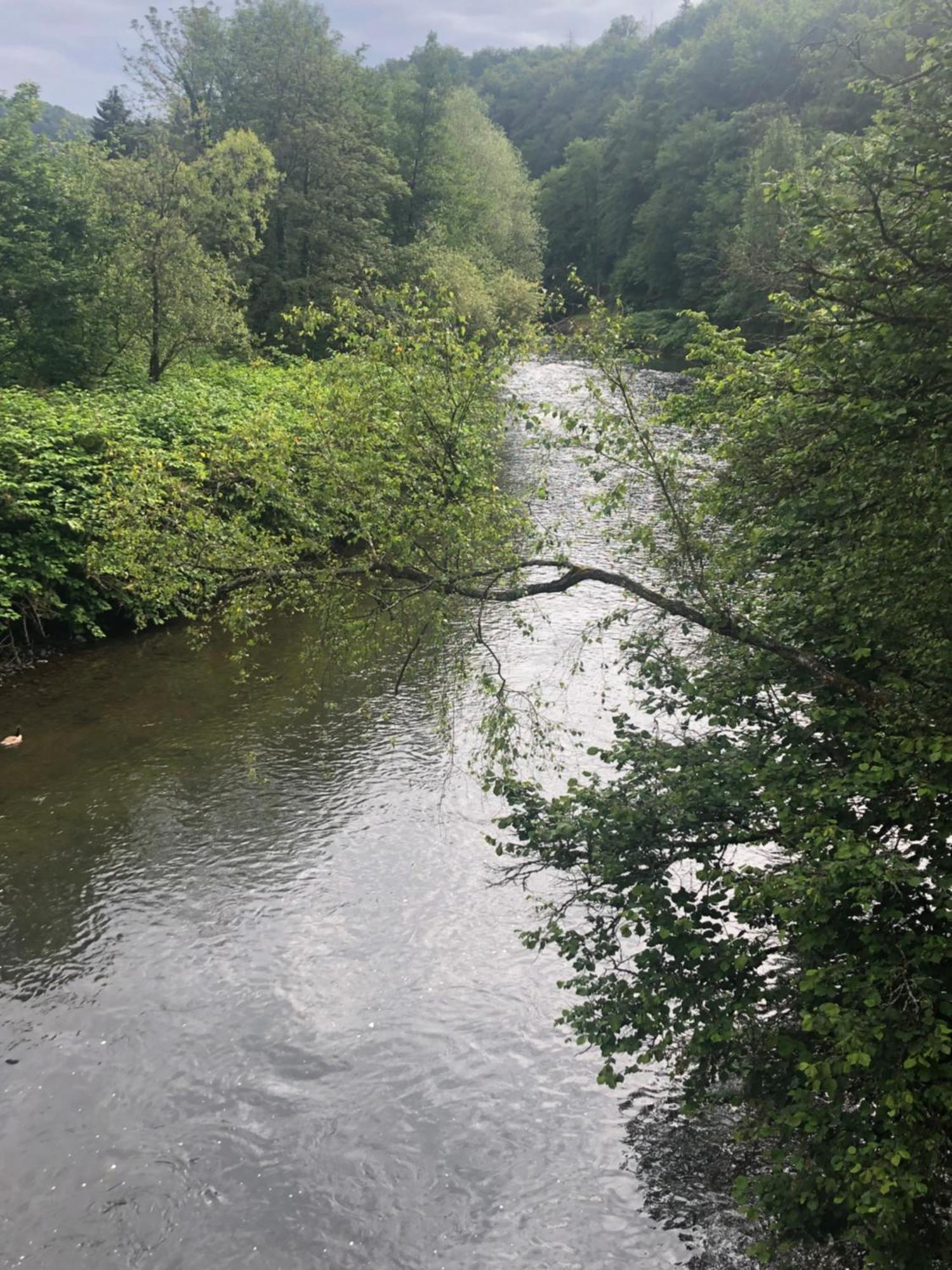 Gartenblick Leichlingen Esterno foto
