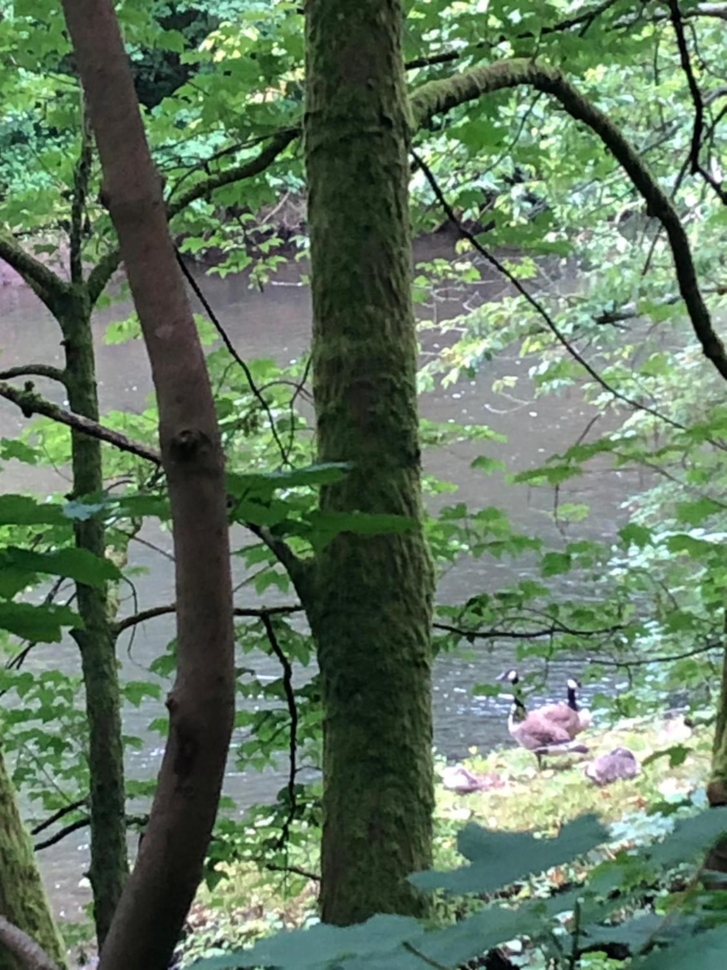 Gartenblick Leichlingen Esterno foto