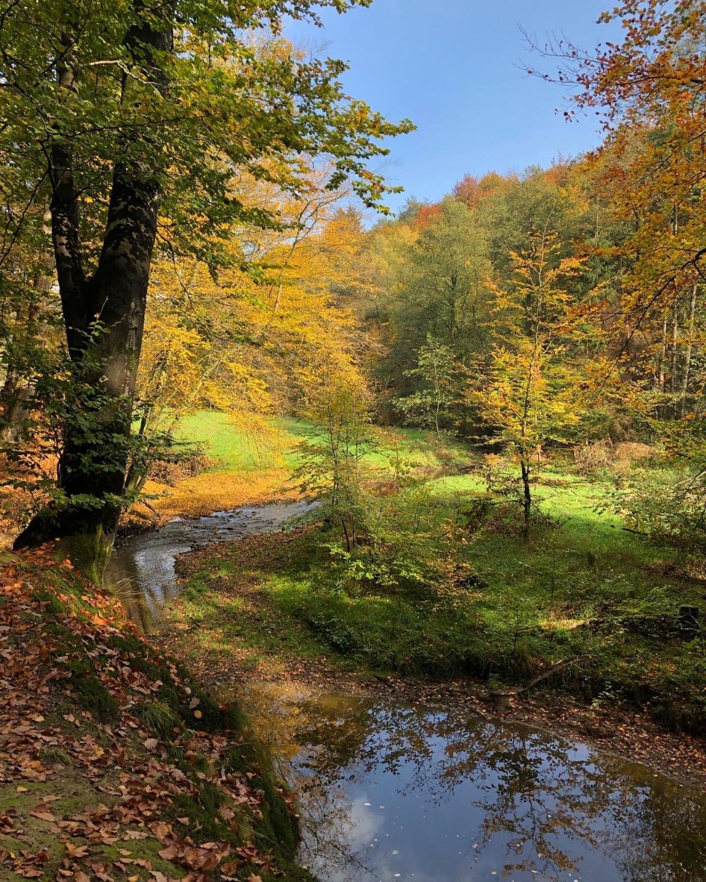 Gartenblick Leichlingen Esterno foto